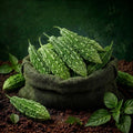 Bitter Gourd 1KG