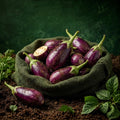 Brinjal (Eggplant) 1KG