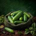 Cucumber 1KG